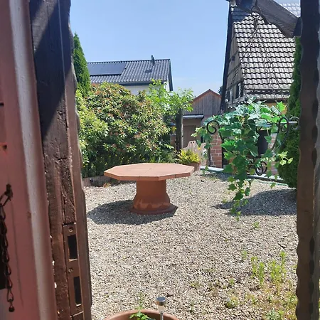 Cozy Wooden Or In The Odenwald, Garden, Hiking Trails, Free Parking *